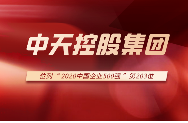 304am永利集团集团列2020中国企业500强第203位！